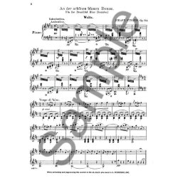 Johann Strauss II: On The Beautiful Blue Danube Op.314