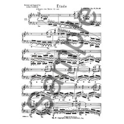Frederic Chopin: Etude In C Minor Op.10 No.12