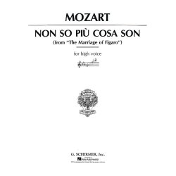 W.A. Mozart: Non So Piu Cosa Son (Le Nozze Di Figaro)
