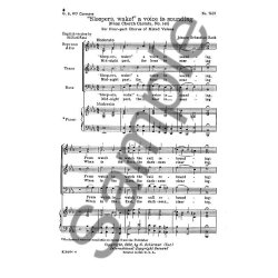 J.S. Bach: Sleepers Wake! (English Version)