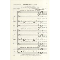 Robert Schumann: Ungewisses Licht Op.141 No.2