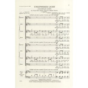 Robert Schumann: Ungewisses Licht Op.141 No.2