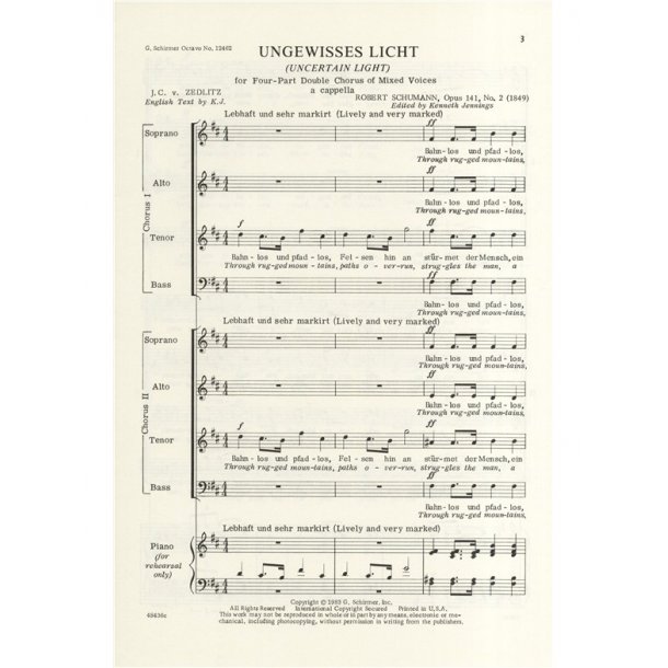 Robert Schumann: Ungewisses Licht Op.141 No.2