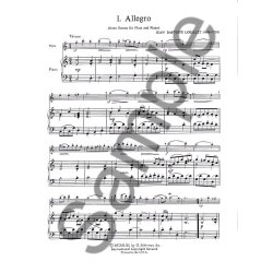Solos For The Flute Player
