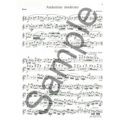 First Solos For The Flute Player