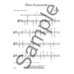 Satie For The Guitar