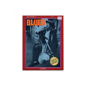 Jerry Silverman: Blues Voice And Guitar