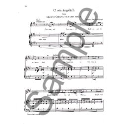 G. Schirmer Opera Anothology - Arias For Tenor