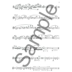 Ezra Laderman: Michael's Suite For Solo Flute