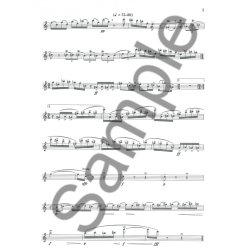 Ezra Laderman: Michael's Suite For Solo Flute