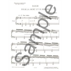 Bernard Andr&egrave;s: El&eacute;gie pour la Mort d'un Berger (Harp solo)