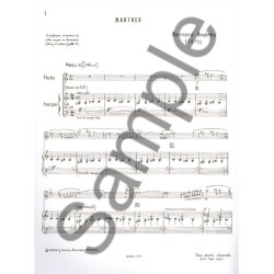 Bernard Andr&egrave;s: Narthex (Flute & Harp)