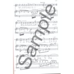 Werther pour chant et piano