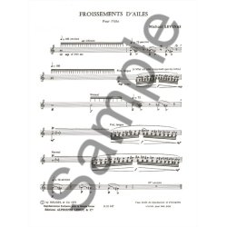 Micha&euml;l Levinas: Froissements D'Ailes (Flute)