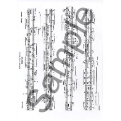 Magnus Lindberg: Twine