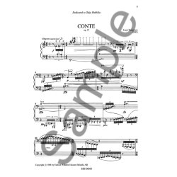 Jouni Kaipainen: Conte