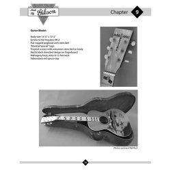 FOX PAUL THE OTHER BRANDS OF GIBSON GUITAR BAM BK