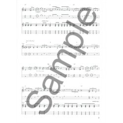 Ukulele Tab: 15 Great Performances Transcribed Note For Note