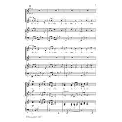 Kyrie Eleison : from Petite Mass