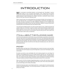 Michael Bremer: Banjo Aerobics