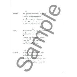 The 4 Chord Ukulele Songbook