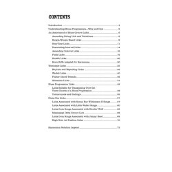 100 Authentic Blues Harmonica Licks