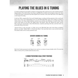 Fred Sokolow: Blues Banjo Lessons - Licks, Riffs, Songs & More (Book/Online Audio)