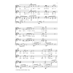 In Winter, So Many Stars