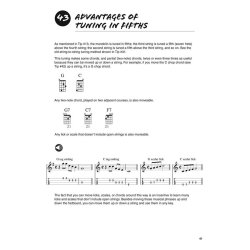 Fred Sokolow: 101 Mandolin Tips (Book/Online Audio)