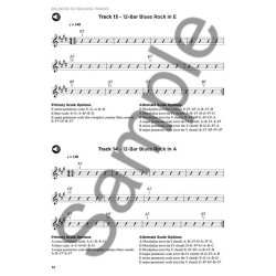 Big Book Of Backing Tracks - 200 High-Quality Play-Along Tracks In All Styles (Book/USB)