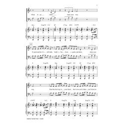 Owl City Shine Your Way From The Croods (Arr Emerson Roger) Satb Chor