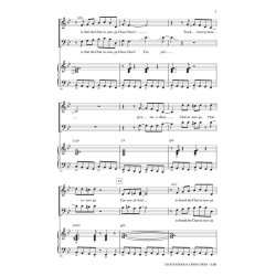 Chattanooga Choo Choo (Arr. Brymer) (SAB)