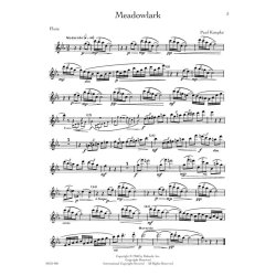 Rubank Treasures For Flute (Book/Online Audio)