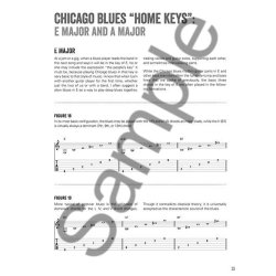 Chicago Blues Rhythm Guitar: The Complete Definitive Guide (Book/DVD)