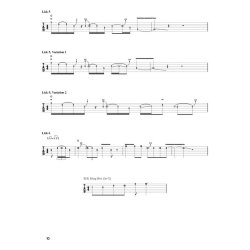 Lead Guitar Licks: The Basics And Beyond By Joshua Ray (Book/Online Video)