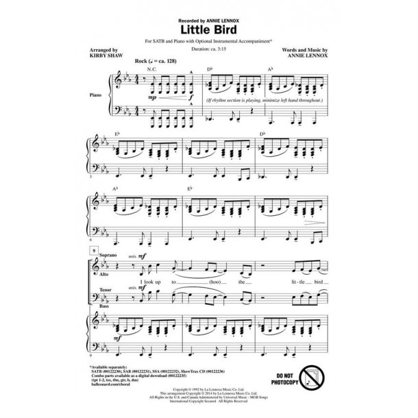 Little Bird