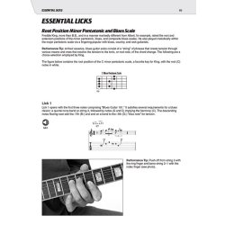 Play Like Freddie King: The Ultimate Guitar Lesson (Book/Online Audio)