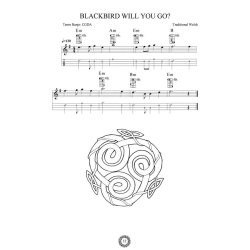 Celtic Songs For The Tenor Banjo