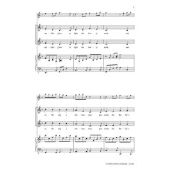 A Thousand Candles Nu Tandas Tusen Juleijus (Strid/Donnelly) 2pt Chor