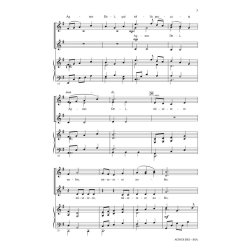 Agnus Dei : (from Petite Mass)