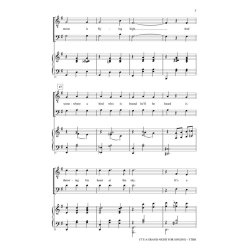 Rodgers/Hammerstein It's A Grand Night For Singing (Rubino) Ttbb Chor