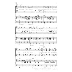 The Best Of Owl City (Arr. Brymer) (3-Part)