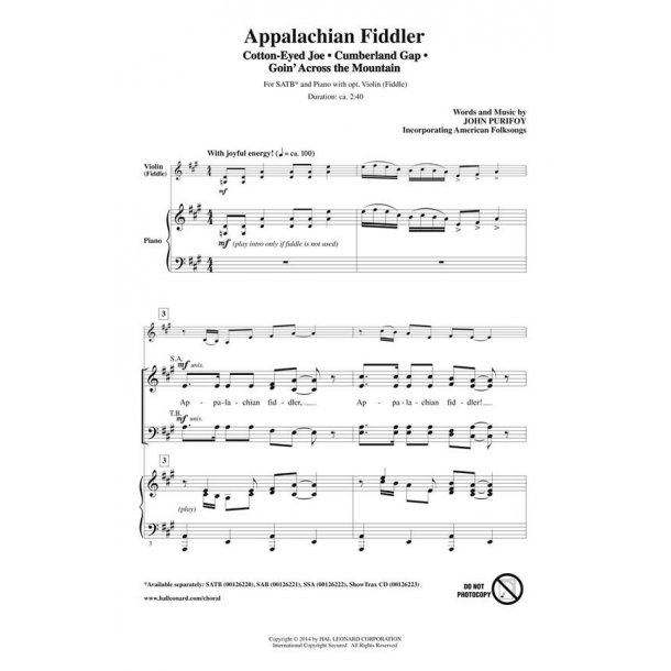 Appalachian Fiddler