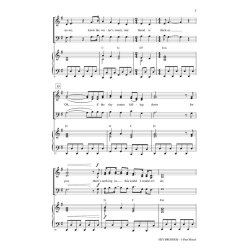 Avicii Hey Brother (Arr Brymer Mark) 3 Part Mixed Choral