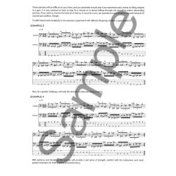 Bass Lesson Goldmine: 100 Jazz Lessons (Book/Online Audio)