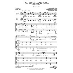 I Am But a Small Voice