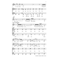 I Am But a Small Voice