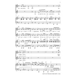 Don't Let the Rain Come Down : (Crooked Little Man) (Crooked Little House)