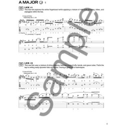 Chris Letchford: Progressive Rock Guitar Licks (Book/Online Audio)