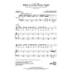 Enya White Is In The Winter Night (Snyder Audrey) Sab Choral